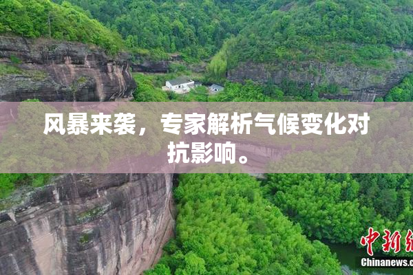 风暴来袭，专家解析气候变化对抗影响。