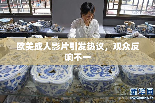 欧美成人影片引发热议，观众反响不一