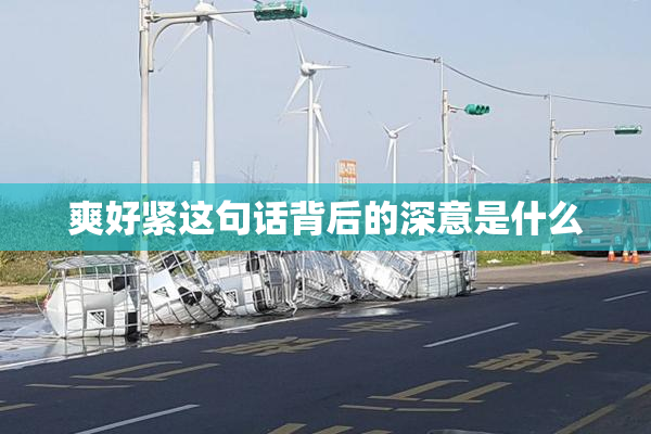 爽好紧这句话背后的深意是什么