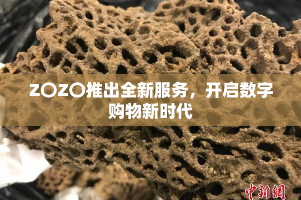 Z〇Z〇推出全新服务，开启数字购物新时代