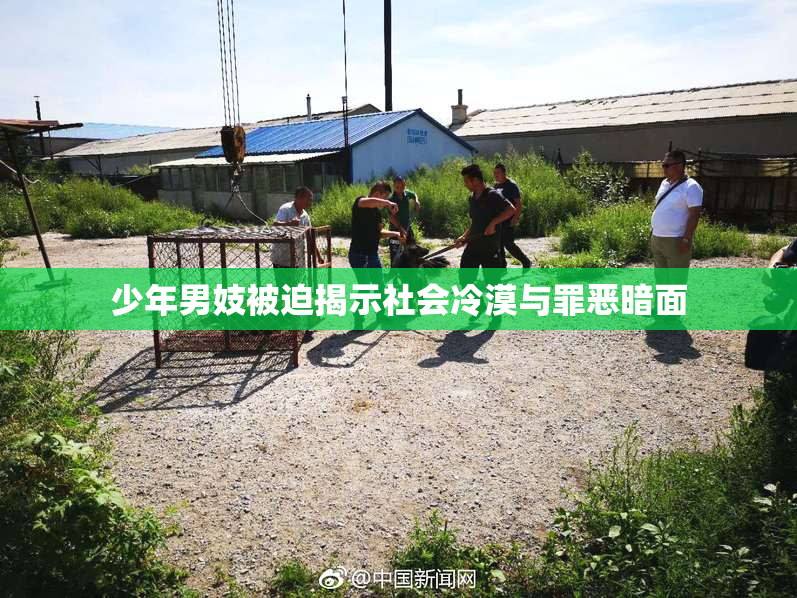 少年男妓被迫揭示社会冷漠与罪恶暗面