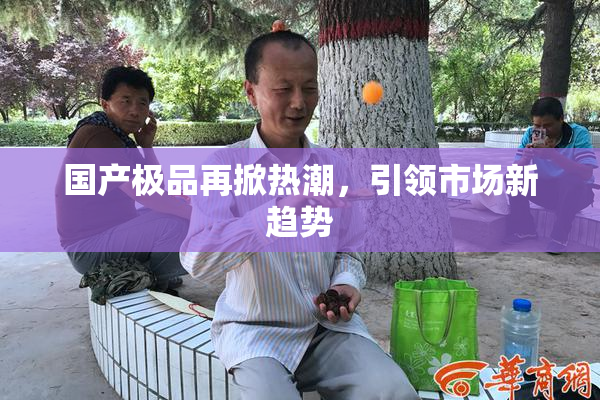 国产极品再掀热潮，引领市场新趋势