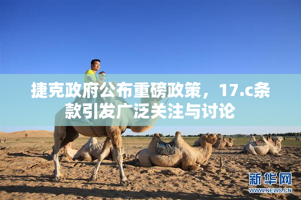 捷克政府公布重磅政策，17.c条款引发广泛关注与讨论
