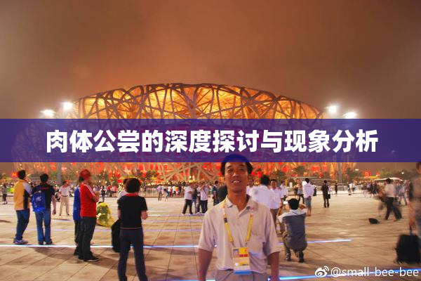 肉体公尝的深度探讨与现象分析