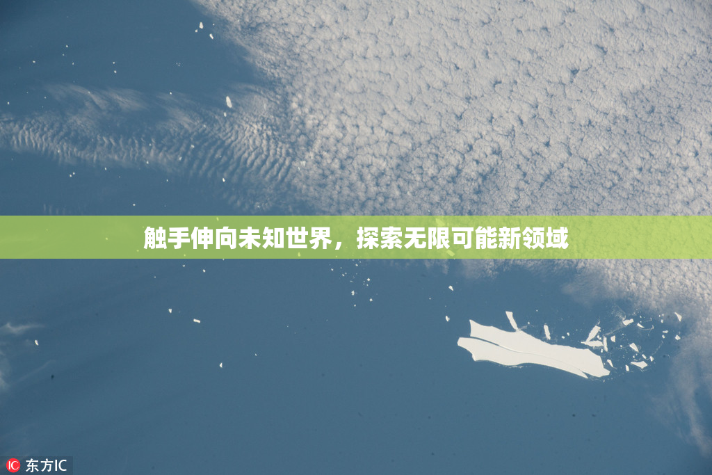 触手伸向未知世界，探索无限可能新领域