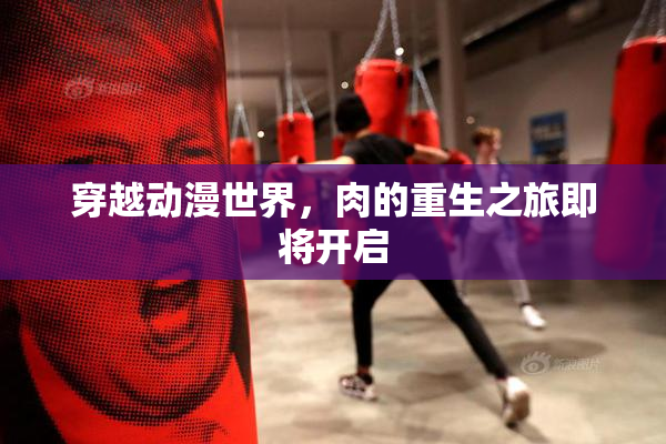 穿越动漫世界，肉的重生之旅即将开启
