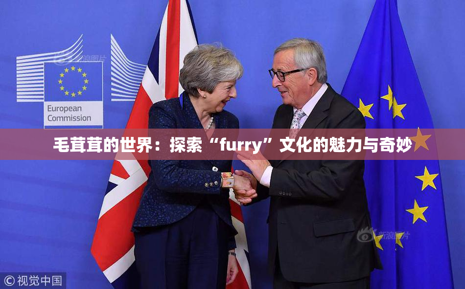 毛茸茸的世界：探索“furry”文化的魅力与奇妙
