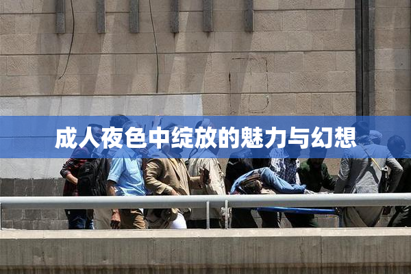 成人夜色中绽放的魅力与幻想