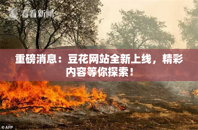 重磅消息：豆花网站全新上线，精彩内容等你探索！