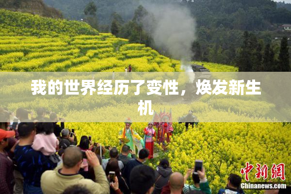 我的世界经历了变性，焕发新生机