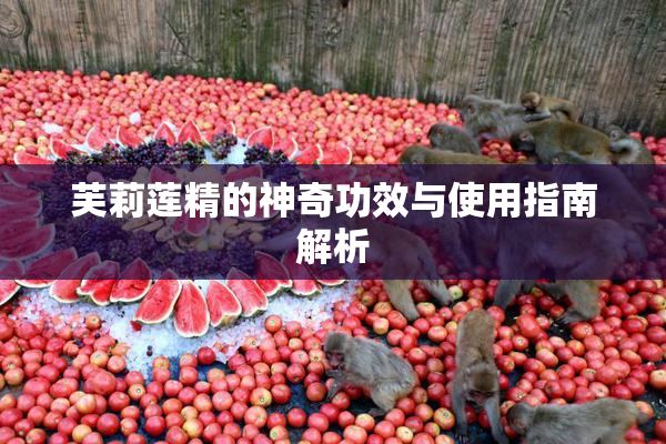 芙莉莲精的神奇功效与使用指南解析