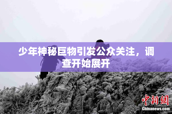 少年神秘巨物引发公众关注，调查开始展开