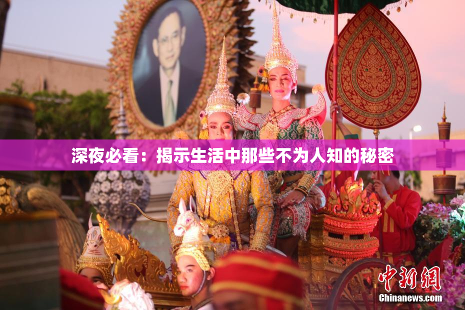 深夜必看：揭示生活中那些不为人知的秘密
