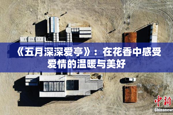 《五月深深爱亭》：在花香中感受爱情的温暖与美好