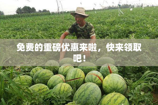 免费的重磅优惠来啦，快来领取吧！