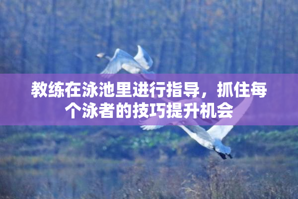 教练在泳池里进行指导，抓住每个泳者的技巧提升机会