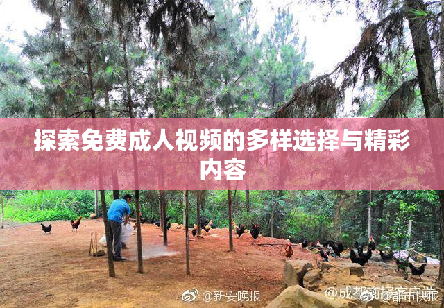 探索免费成人视频的多样选择与精彩内容