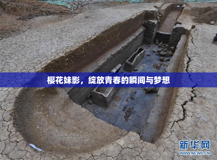 樱花妹影，绽放青春的瞬间与梦想