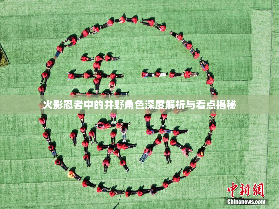 火影忍者中的井野角色深度解析与看点揭秘
