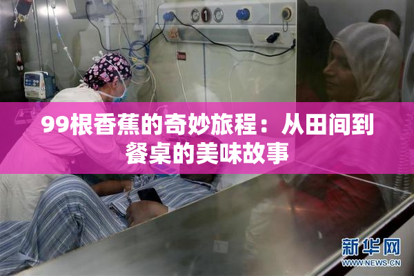 99根香蕉的奇妙旅程：从田间到餐桌的美味故事