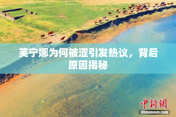 芙宁娜为何被涩引发热议，背后原因揭秘