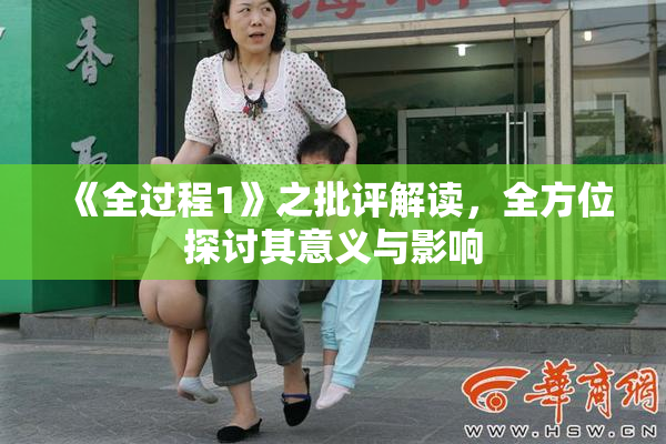 《全过程1》之批评解读，全方位探讨其意义与影响