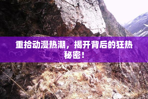 重拾动漫热潮，揭开背后的狂热秘密！