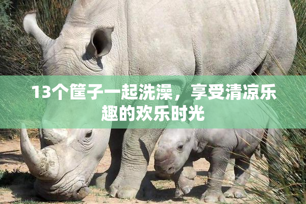 13个筐子一起洗澡，享受清凉乐趣的欢乐时光