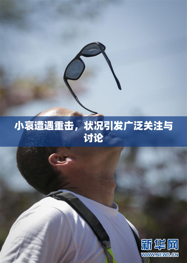 小哀遭遇重击，状况引发广泛关注与讨论