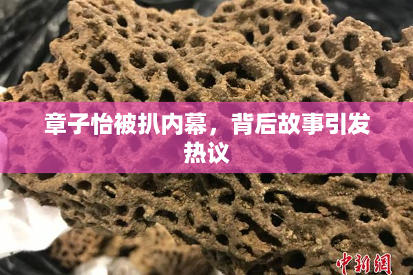 章子怡被扒内幕，背后故事引发热议