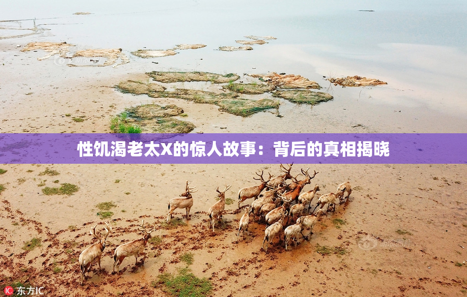 性饥渴老太X的惊人故事：背后的真相揭晓