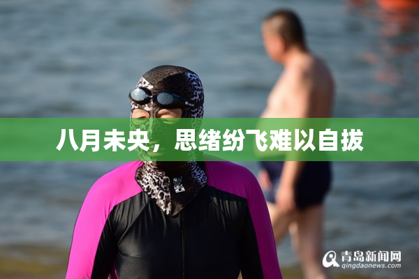 八月未央，思绪纷飞难以自拔