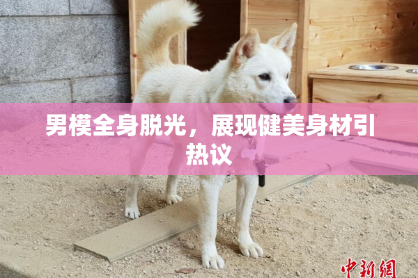男模全身脱光，展现健美身材引热议