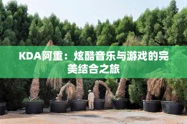 KDA阿重：炫酷音乐与游戏的完美结合之旅