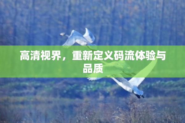 高清视界，重新定义码流体验与品质