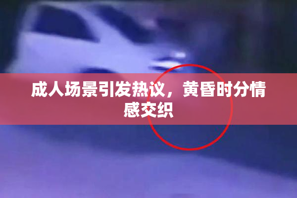 成人场景引发热议，黄昏时分情感交织