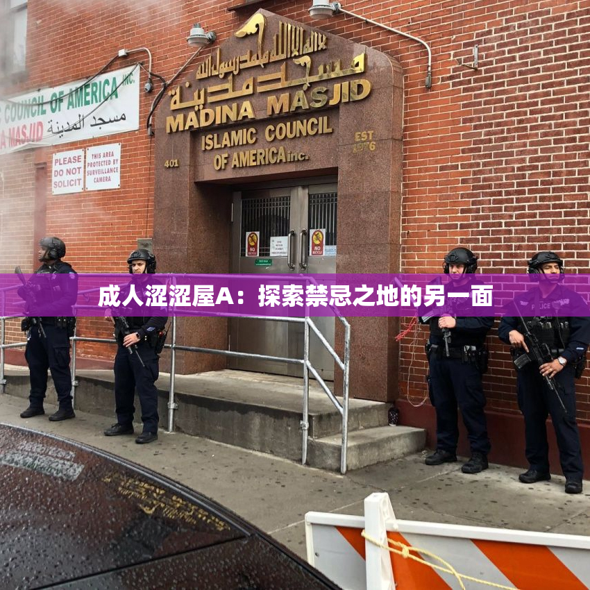 成人涩涩屋A：探索禁忌之地的另一面
