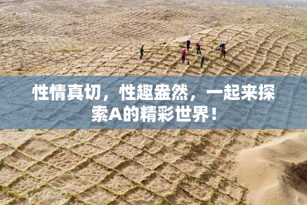 性情真切，性趣盎然，一起来探索A的精彩世界！