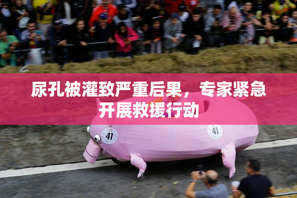 尿孔被灌致严重后果，专家紧急开展救援行动