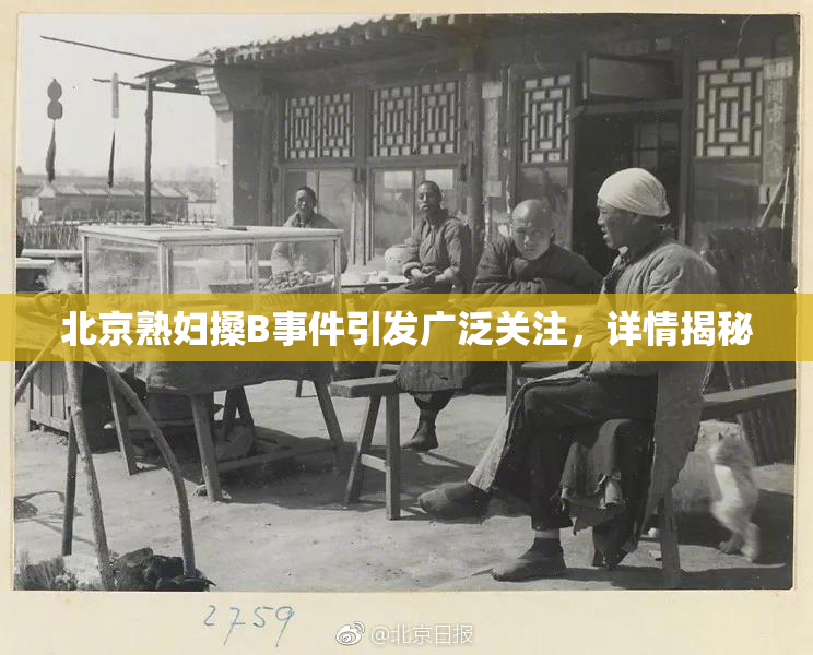 北京熟妇搡B事件引发广泛关注，详情揭秘