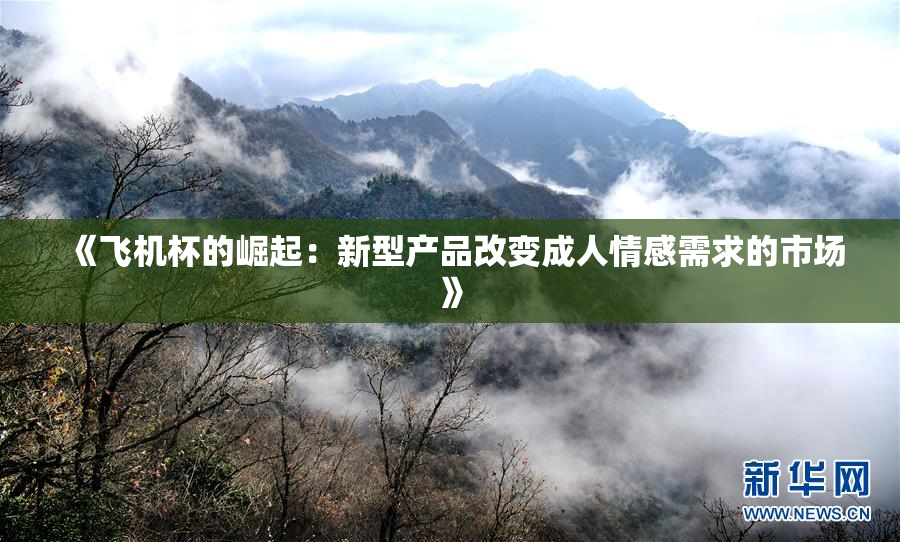 《飞机杯的崛起：新型产品改变成人情感需求的市场》