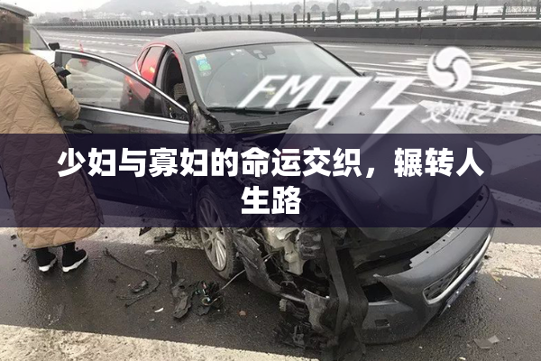 少妇与寡妇的命运交织，辗转人生路