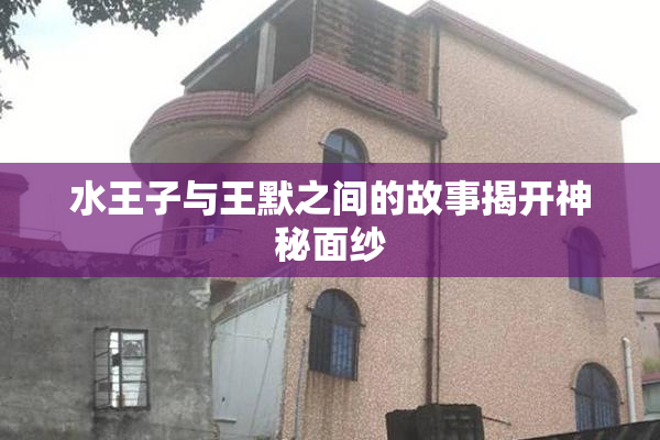 水王子与王默之间的故事揭开神秘面纱