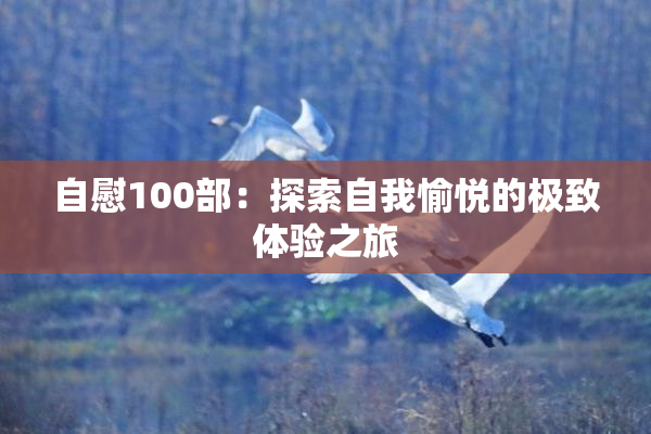 自慰100部：探索自我愉悦的极致体验之旅
