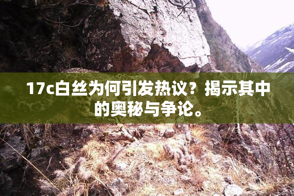 17c白丝为何引发热议？揭示其中的奥秘与争论。