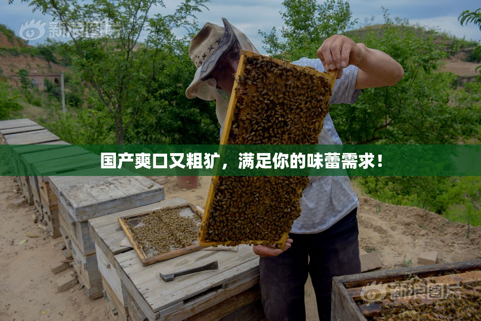 国产爽口又粗犷，满足你的味蕾需求！