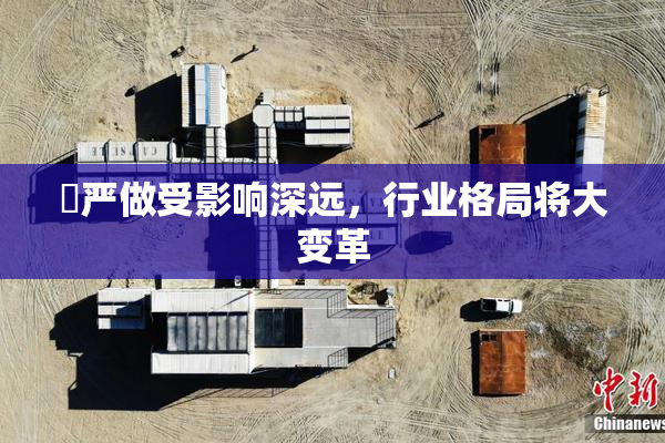 囯严做受影响深远，行业格局将大变革