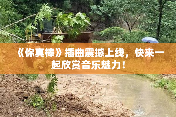 《你真棒》插曲震撼上线，快来一起欣赏音乐魅力！