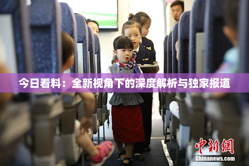 今日看料：全新视角下的深度解析与独家报道