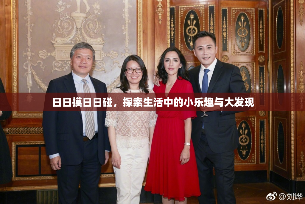 日日摸日日碰，探索生活中的小乐趣与大发现